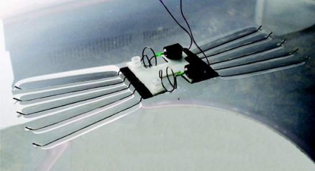 Microrrobô bioinspirado flutua para monitorar água