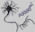 Cientistas criam primeira rede neural artificial usando DNA